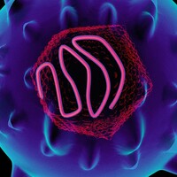 Her yıl 1,4 milyon can alıyor