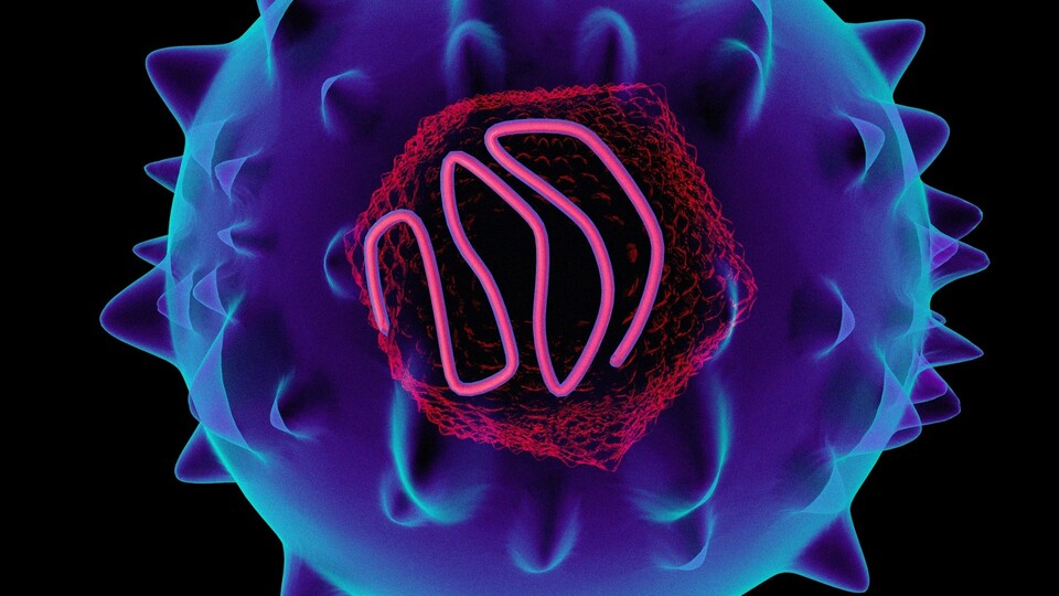 Her yıl 1,4 milyon can alıyor