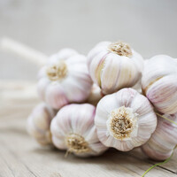 Afrodizyak etkisi yaratıyor!