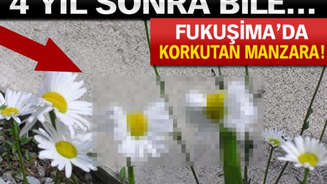 Fukuşima 'da korkutan manzara