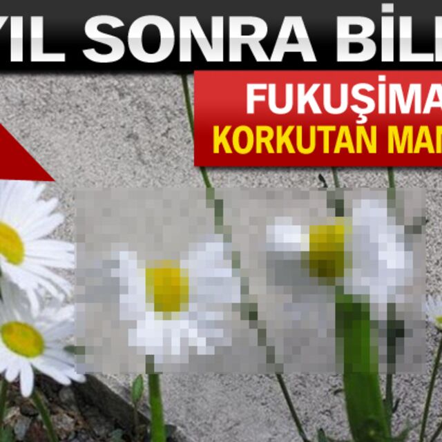 Fukuşima 'da korkutan manzara