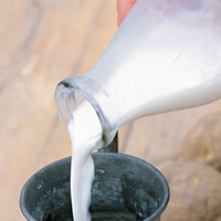 Süt kemikleri güçlendirir mi?