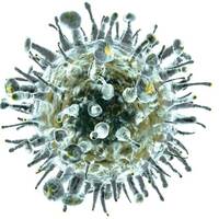 Hepatitten nasıl korunuruz?