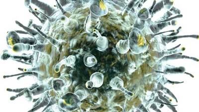 Hepatitten nasıl korunuruz?