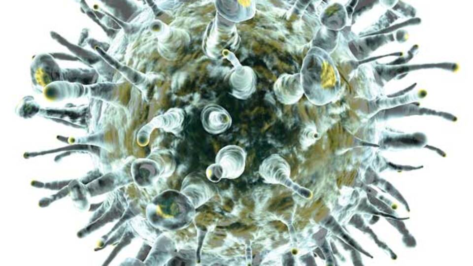 Hepatitten nasıl korunuruz?