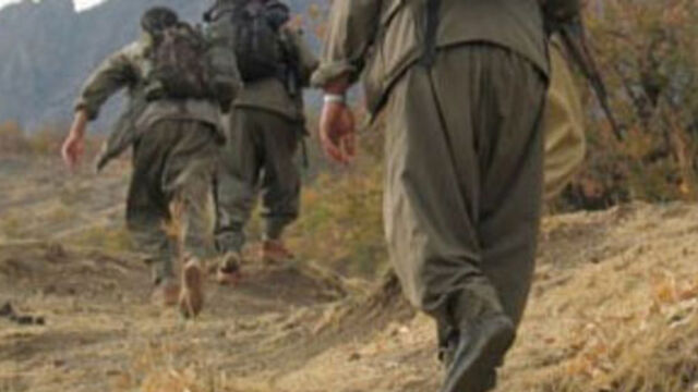 2 PKK militanı silahlarıyla yakalandı