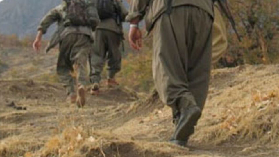 2 PKK militanı silahlarıyla yakalandı