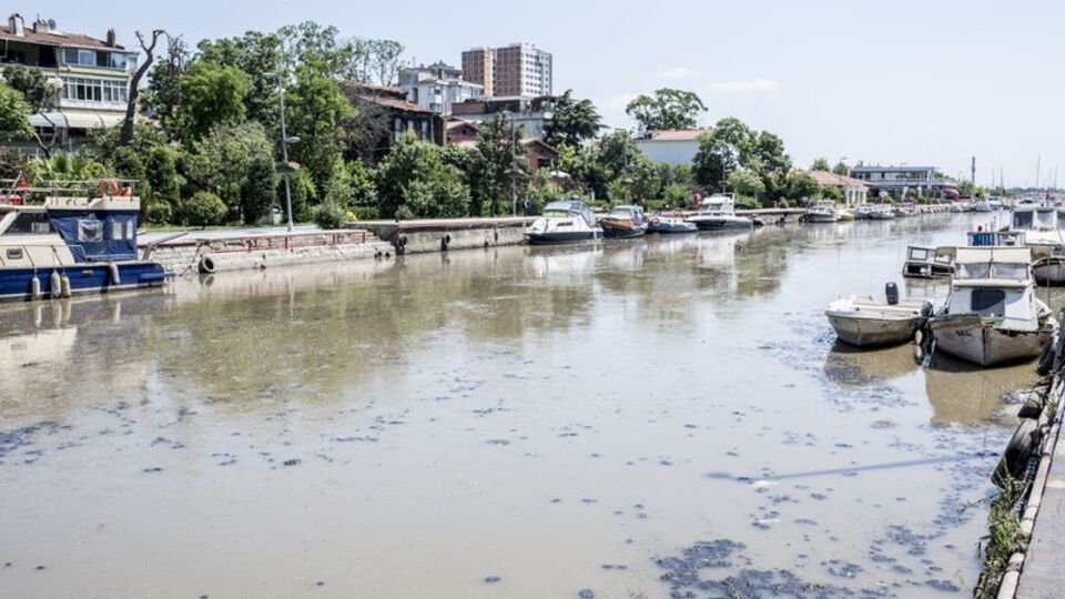 Kadıköy kokudan kurtuluyor!