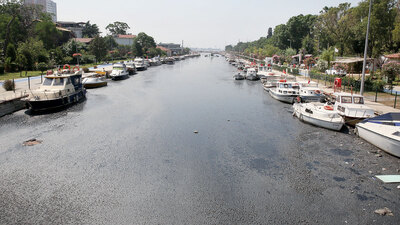 Kurbağalıdere hakkında her şey!