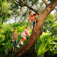 Hafızayı güçlendiriyor!