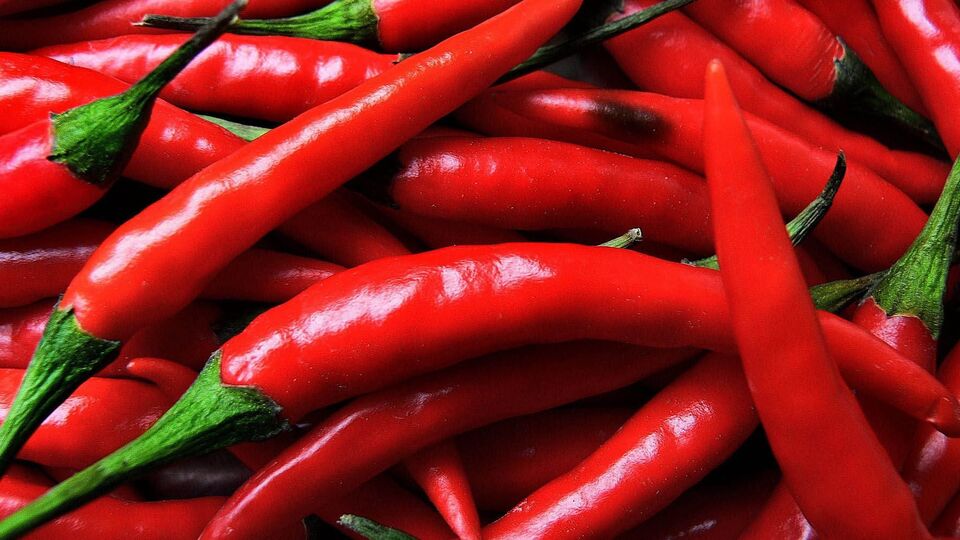 Acı yiyen daha uzun yaşıyor