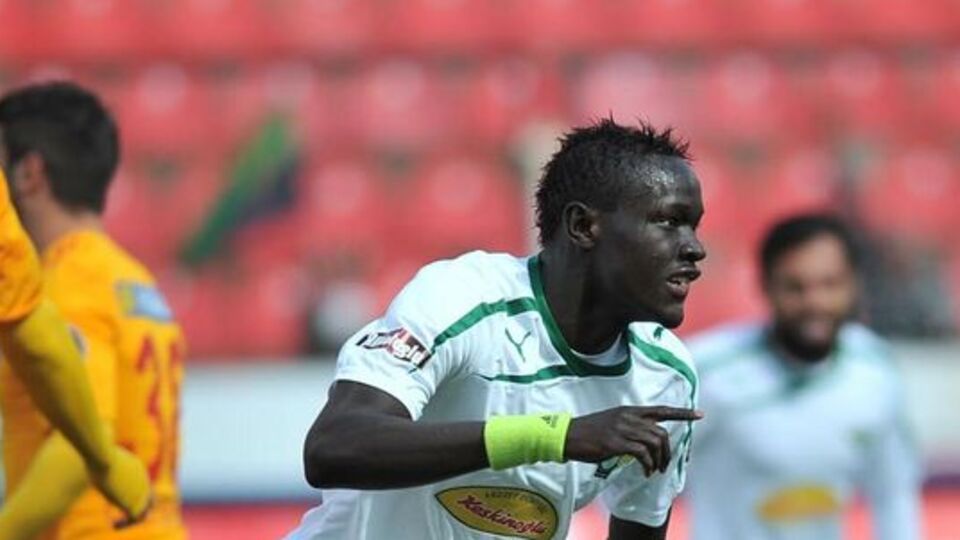 Son Timsah Niasse