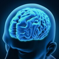 Sağlıklı bir beyin için...