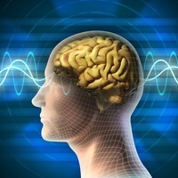 Hafızanızı güçlendirin!