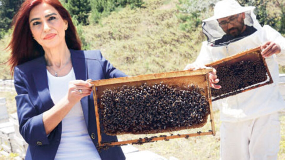 Bu okulda okurken kendi işinizi kurun!