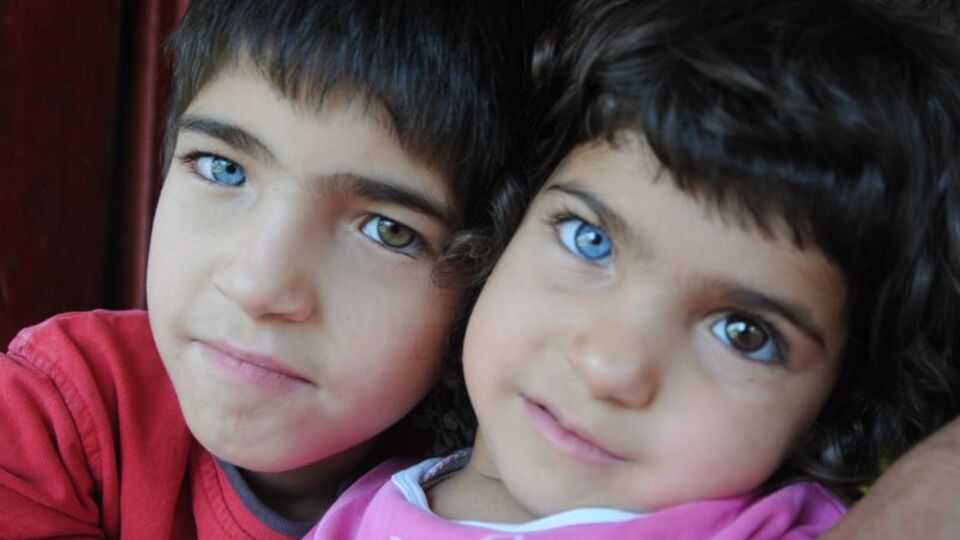 Onları gören herkes aynı soruyu soruyor!