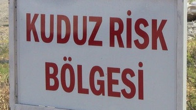 Çankırı'da kuduz paniği!