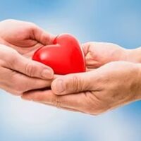 Organ naklinde artış!