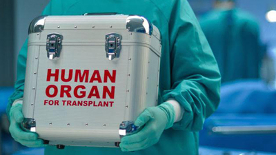 Organ nakli cilt kanserine yol açıyor mu?