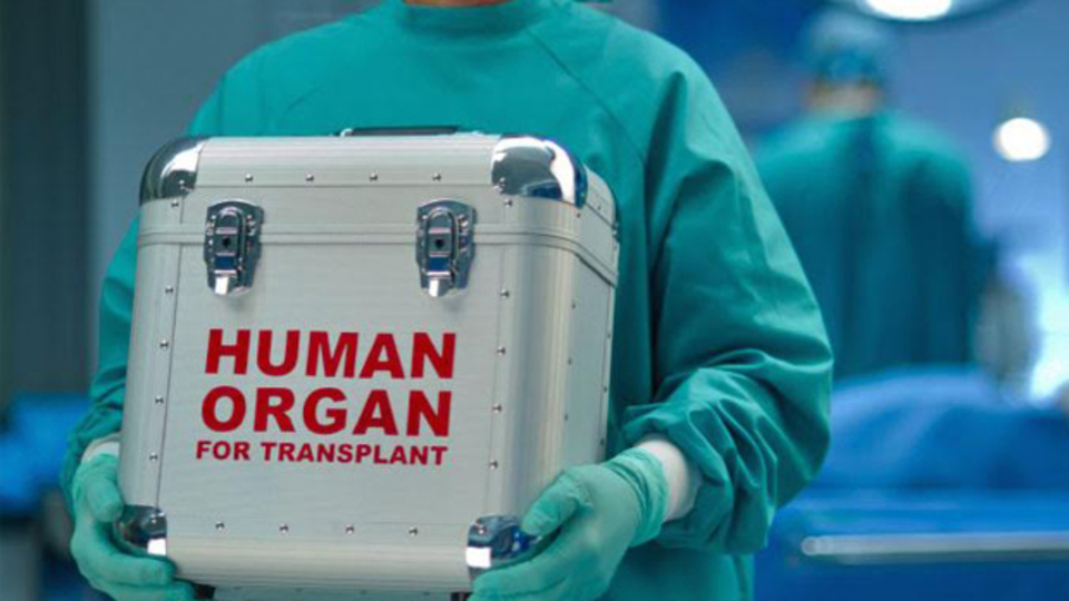 Organ nakli cilt kanserine yol açıyor mu?