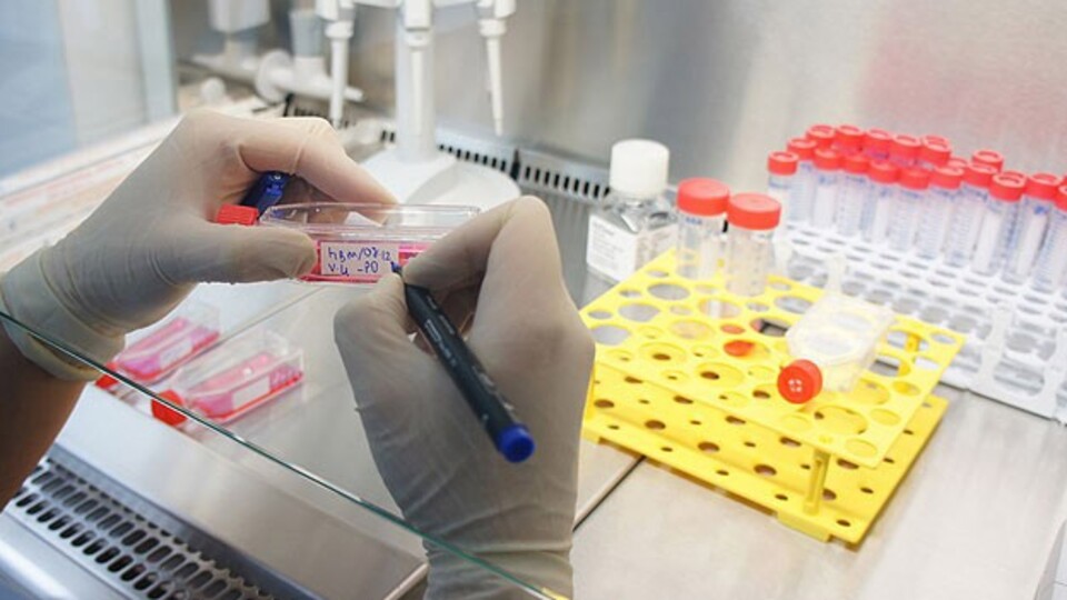 TÜRKKÖK ile 4 çocuk can buldu