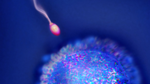 Bebek sahibi olmak isteyenler dikkat!