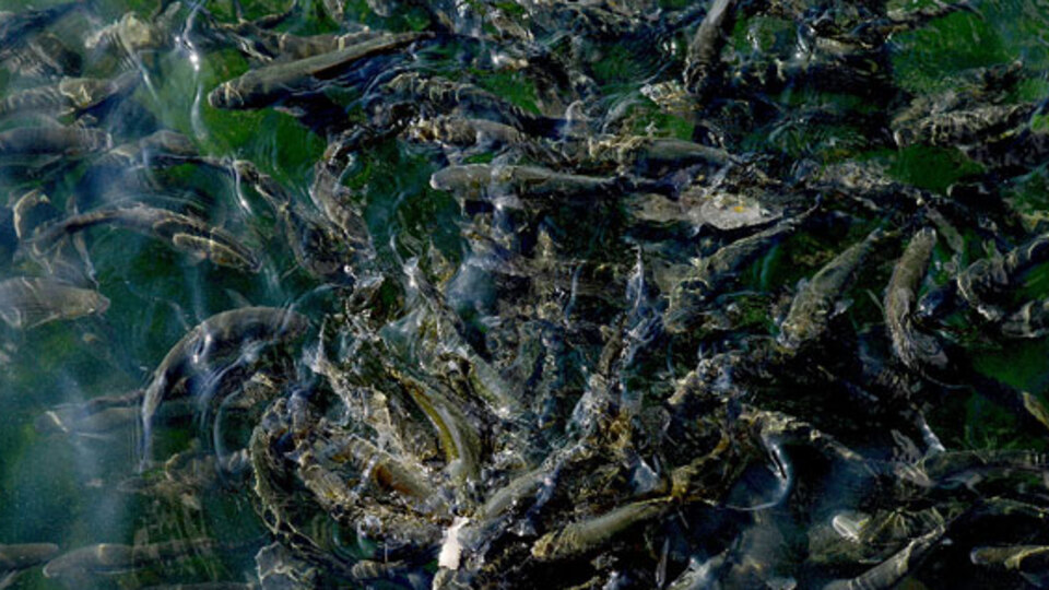 30 yıldır böylesi görülmemişti!