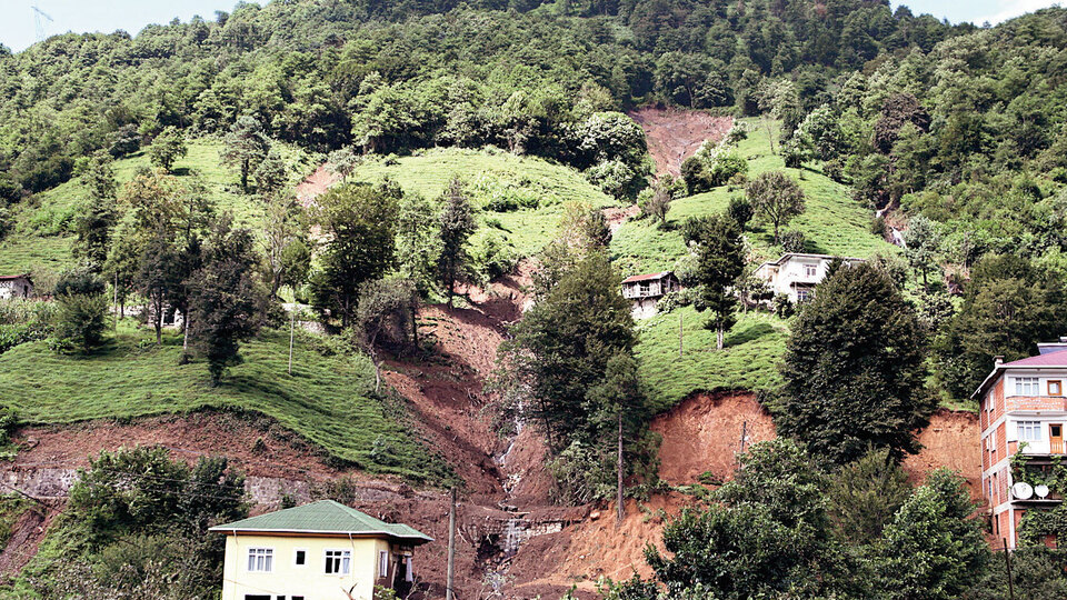 "Çay bahçeleri yerine ağaç olsaydı, heyelan olmazdı"