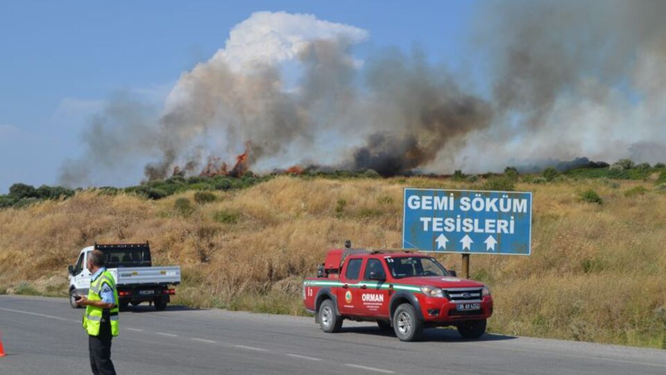 Aliağa'da korkutan orman yangını!