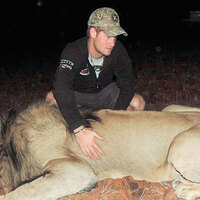 Harry'den vahşi yaşam teftişi