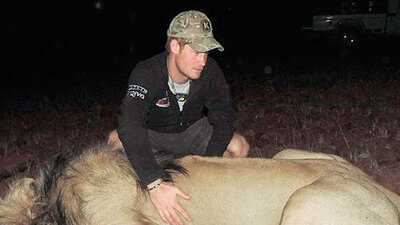 Harry'den vahşi yaşam teftişi