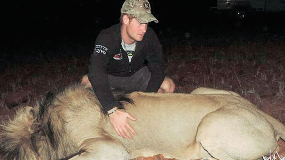 Harry'den vahşi yaşam teftişi