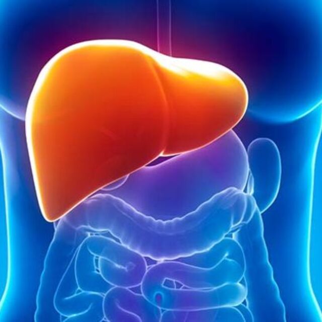 Karaciğer kanserinin en büyük nedeni hepatit