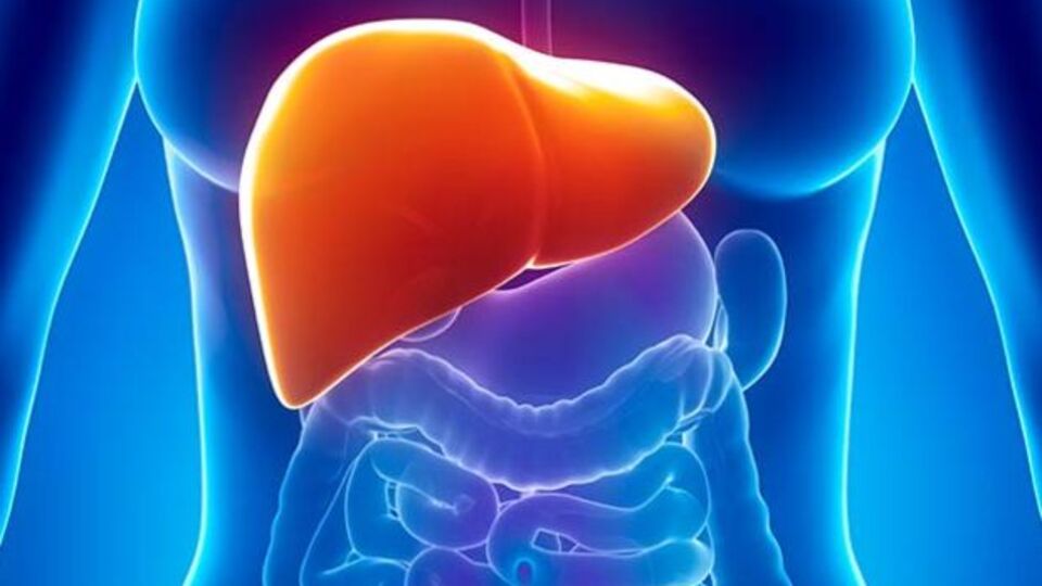 Karaciğer kanserinin en büyük nedeni hepatit