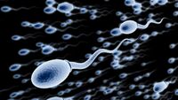 Sağlıklı sperm için...