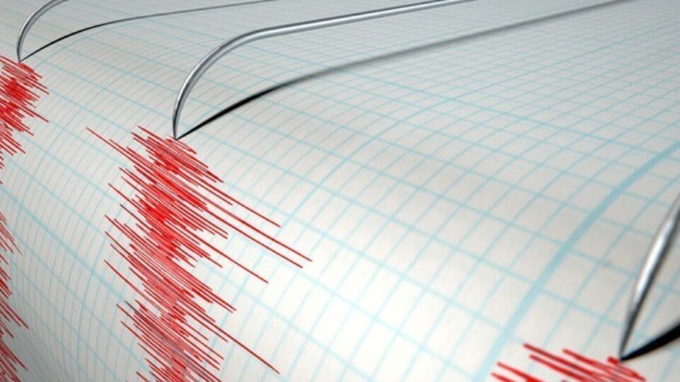Elazığ 4.4'lük depremle sallandı