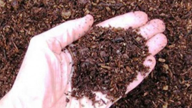 Fiyatı fırladı, sahtesi hortladı!