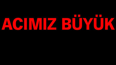 Türkiye 3 günde 32 evladını daha teröre şehit verdi