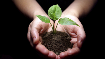 Dolar artınca sahtesini yaptılar!