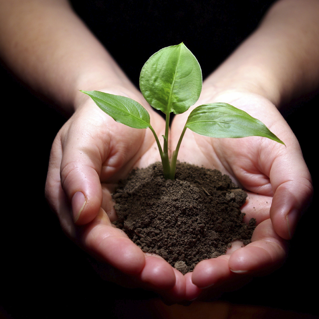 Dolar artınca sahtesini yaptılar!