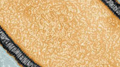 Uyuyan dev uyandı...