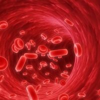 Sepsis her yıl 8 milyon kişiyi öldürüyor!