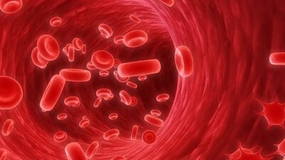 Sepsis her yıl 8 milyon kişiyi öldürüyor!