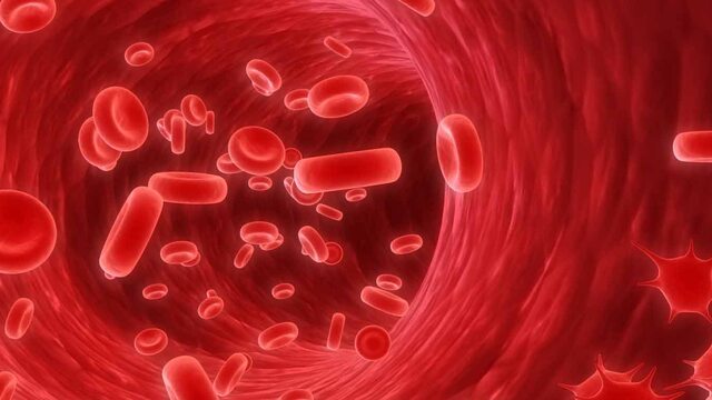 Sepsis her yıl 8 milyon kişiyi öldürüyor!