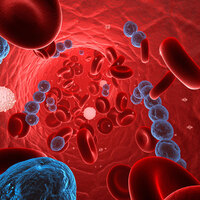 Sepsis (kan zehirlenmesi) yaşamı tehdit ediyor!