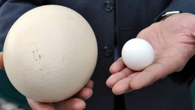 Satışları patladı!