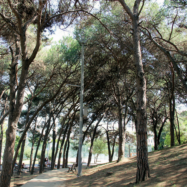 Parklara 'balık gözü'
