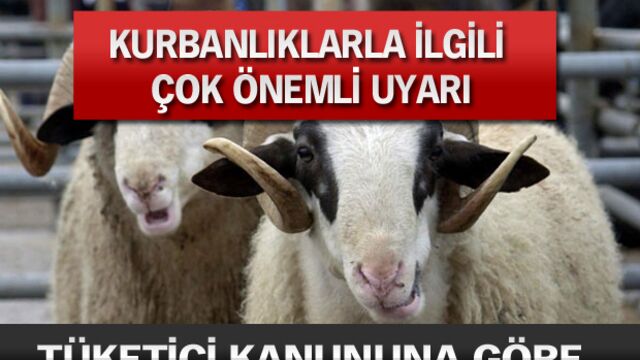 Kurbanlıklarla ilgili çok önemli uyarı