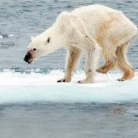 İşte dünyanın son durumu bu!