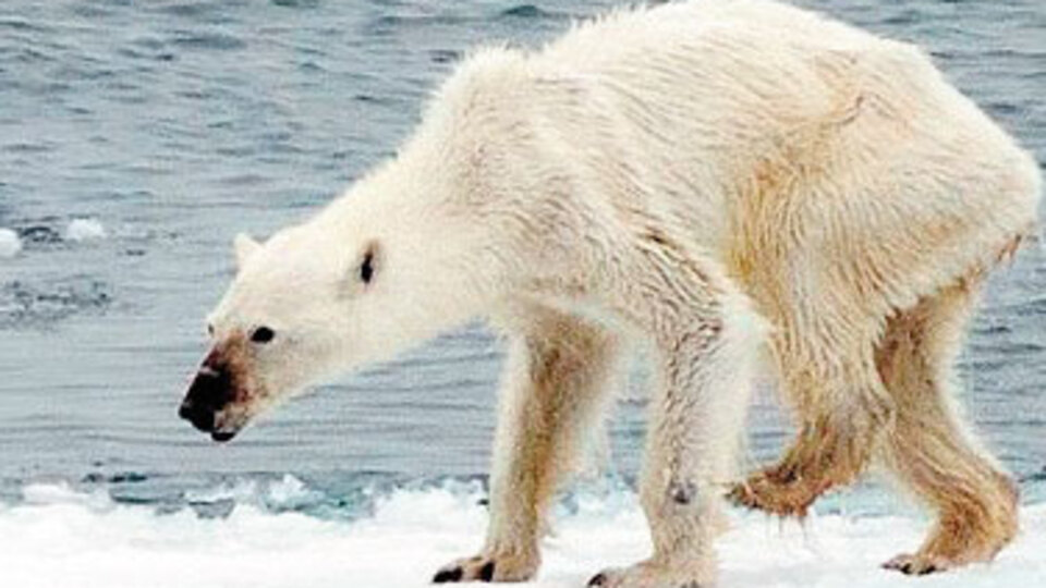 İşte dünyanın son durumu bu!